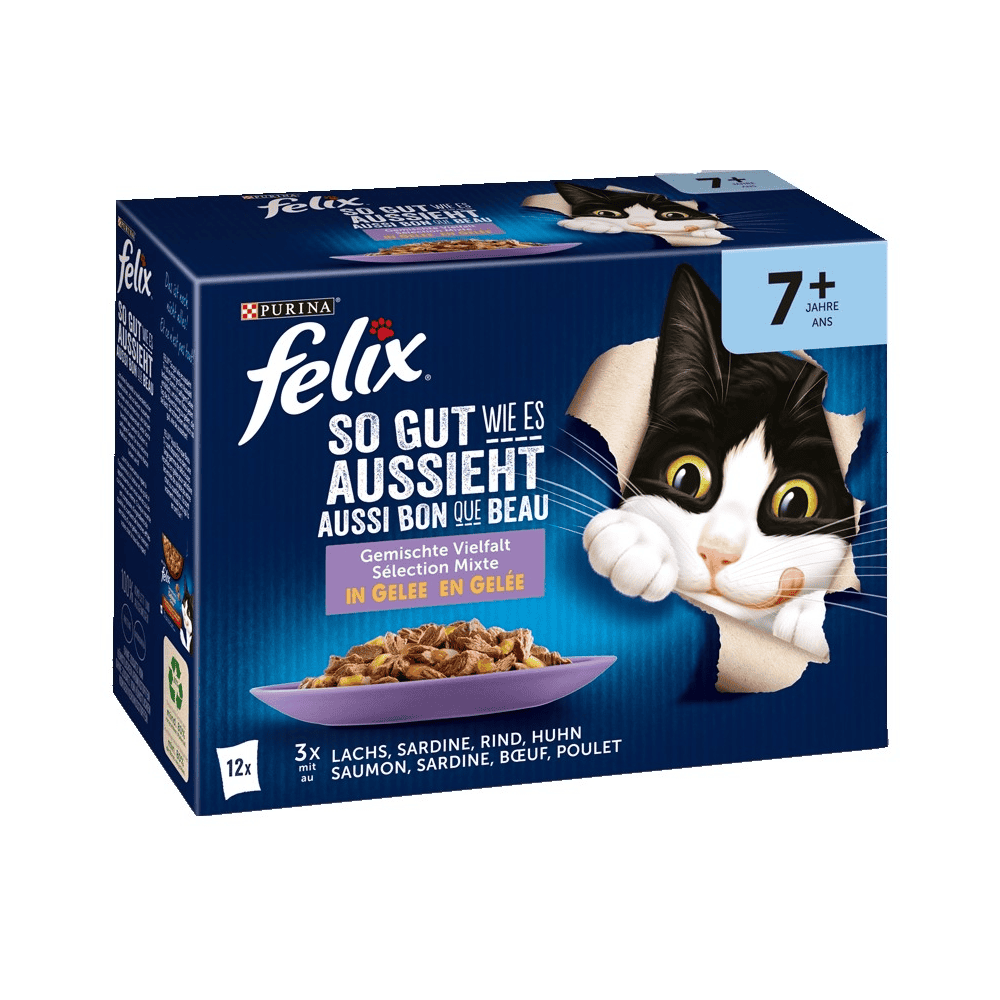 Aussi bon que beau Senior