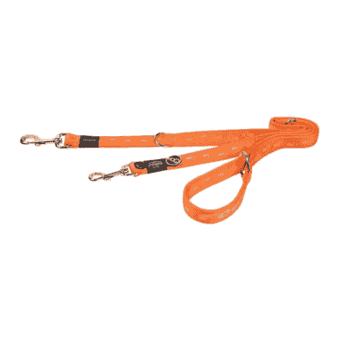 Laisse pour chien Alpinist orange