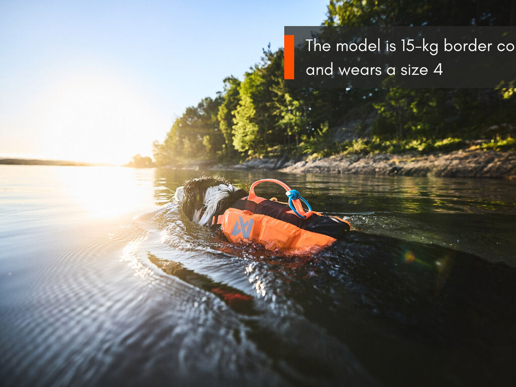 Protector Life Jacket