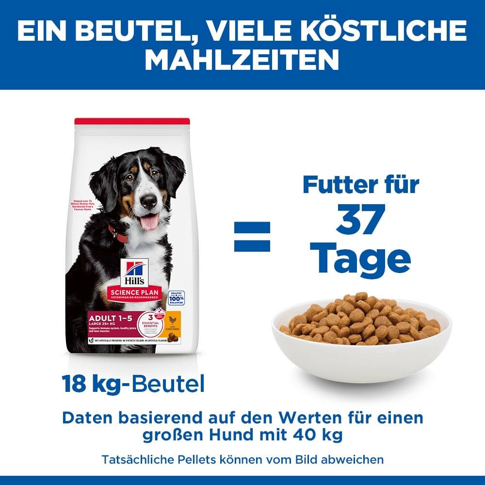 Canine Adult Large Breed Chicken