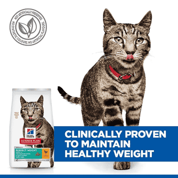 Feline Perfect Weight