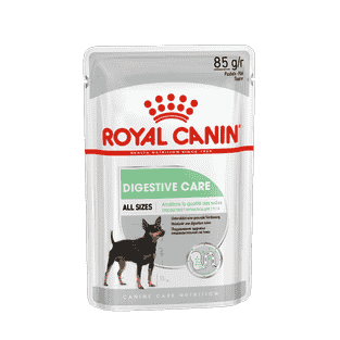 Digestive Care Wet
