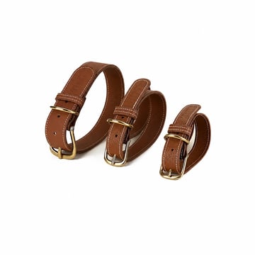 Signature Leather Collar