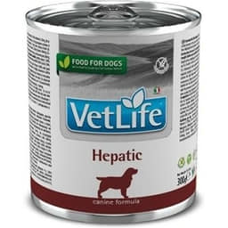 Canine Adult Hepatic