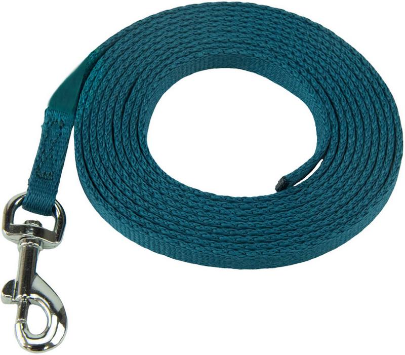 Puppy house training leash