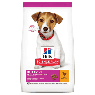 Puppy Small & Mini Breed