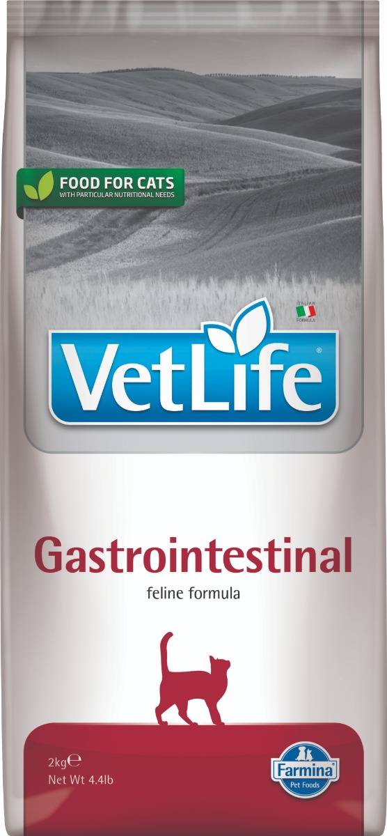 Feline Gastrointestinal
