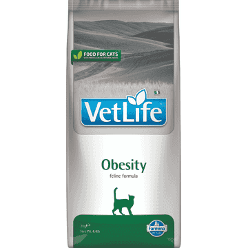 Feline Obesity