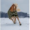 Winter blanket Colorado 300 g