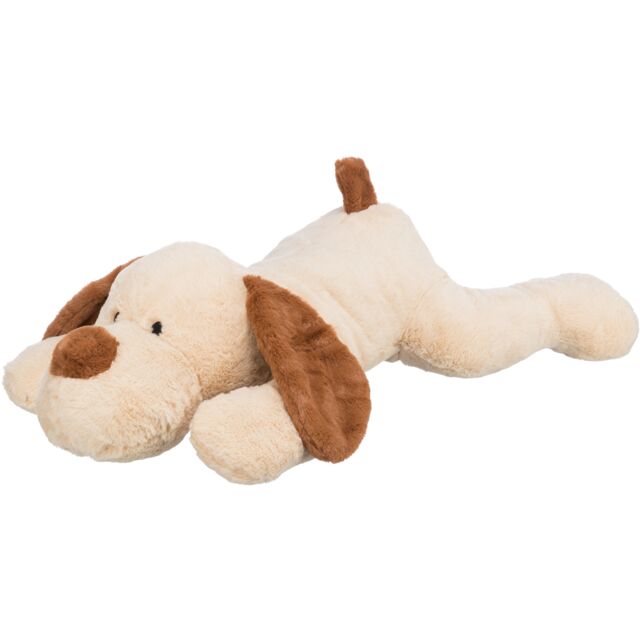 Cuddly dog Benny