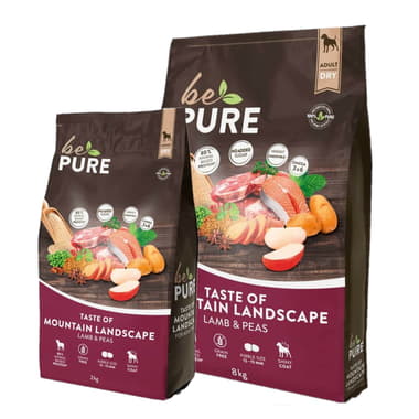 Dog Taste of Mountain Landscape Adult
