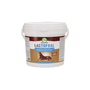 Lactofoal