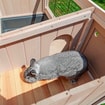 Rodent hutch Ranch 120 MAX