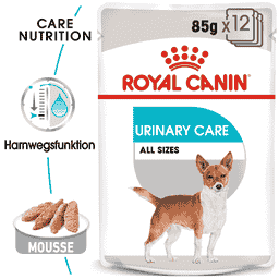 Urinary Care Wet