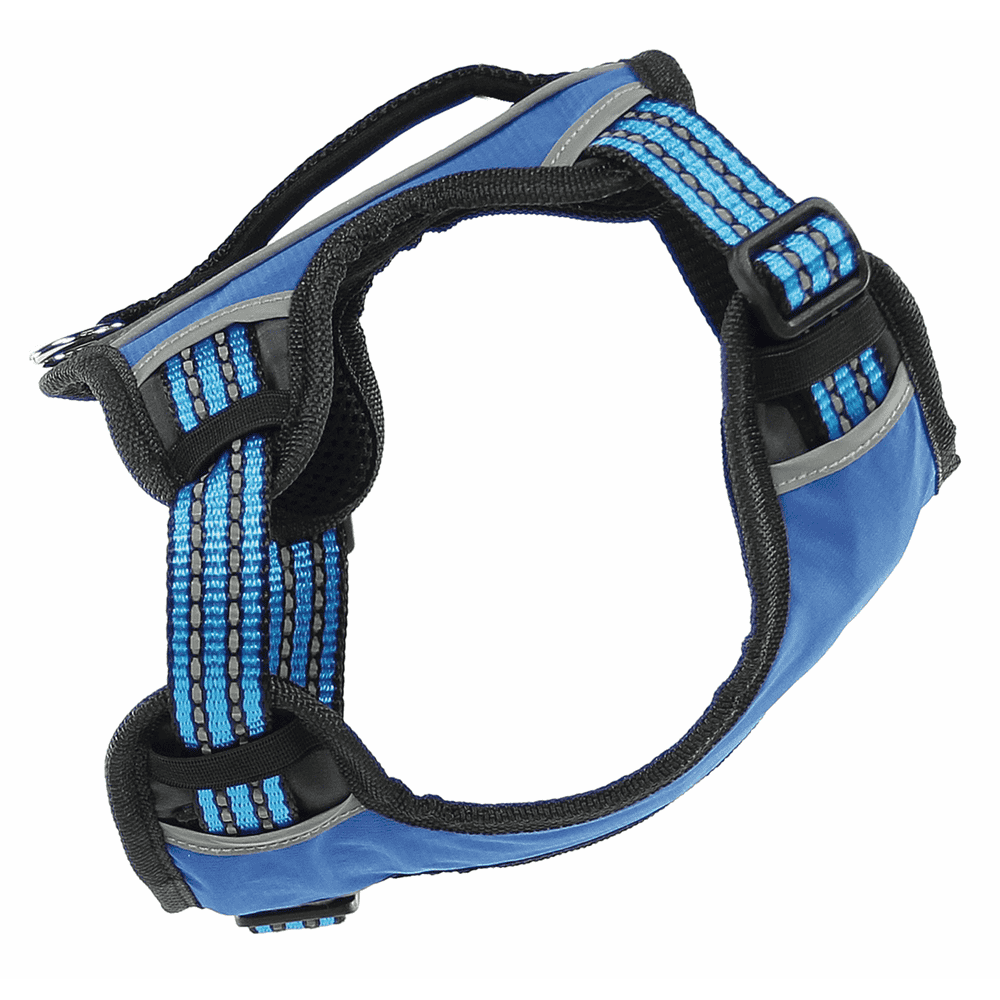 harnais Bruce, bleu L