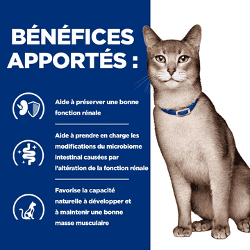 Feline k/d Kidney Care Salmon (anciennement : tuna)
