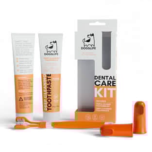 Dental Kit