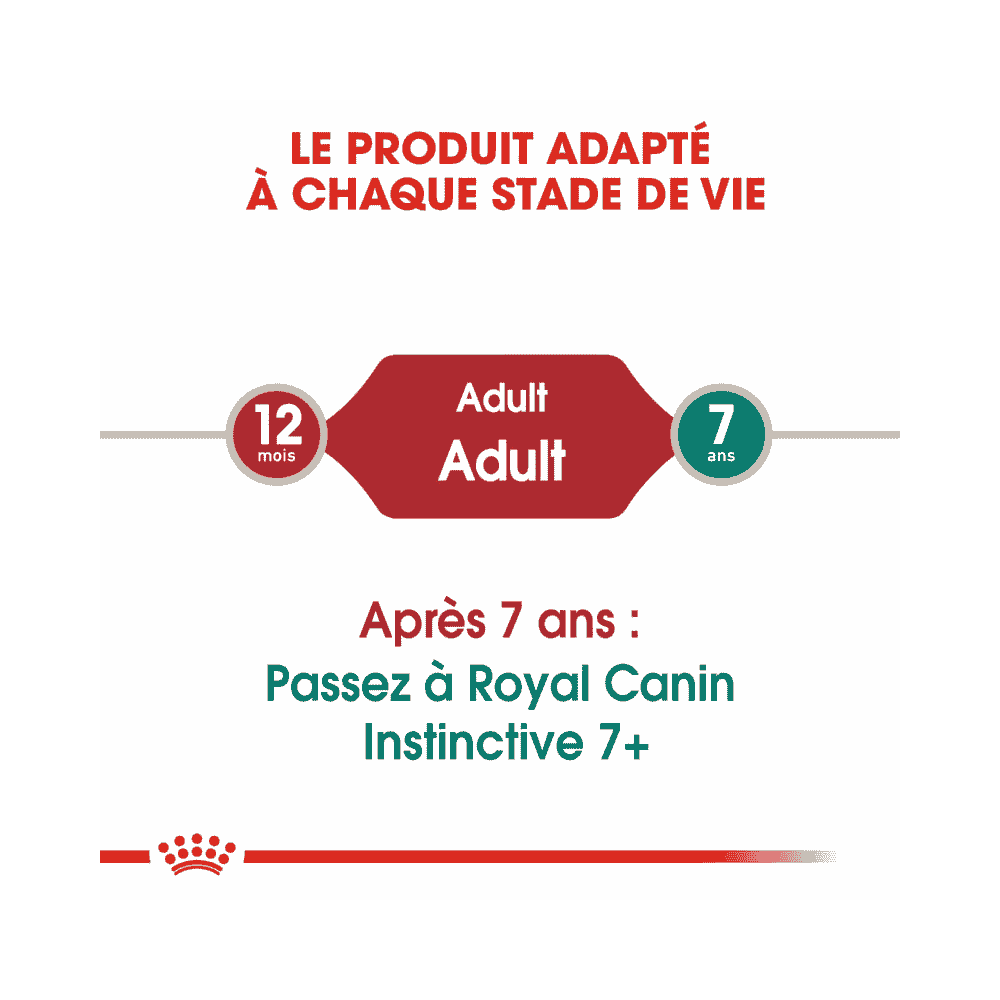 Instinctive mousse - sachet