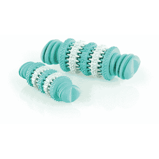 Os dental mint