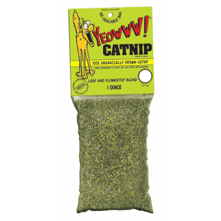 Catnip (Katzenminze)
