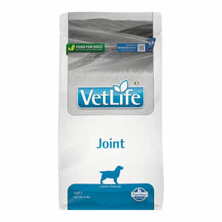 Canine Joint