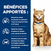 Feline c/d Multicare Urinary Care