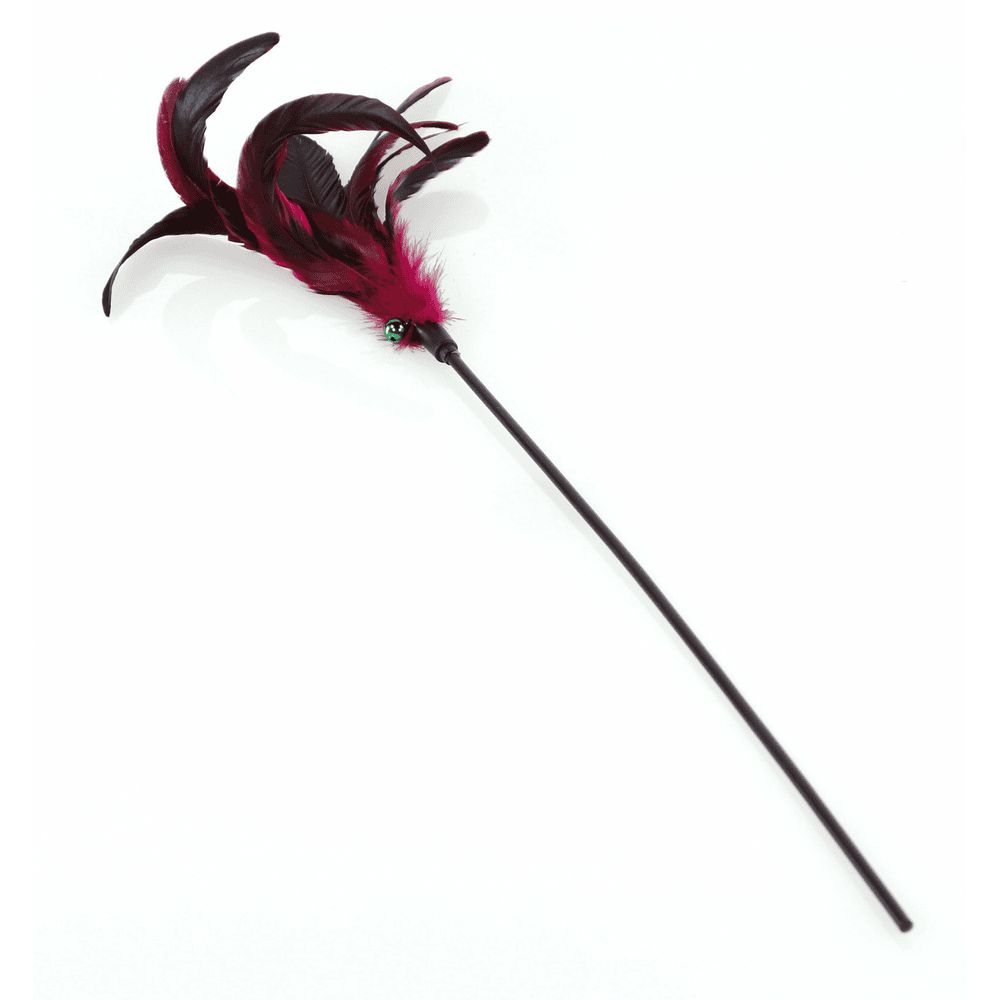 Feather duster Purplegame