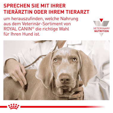 grund løfte afkom Royal Canin Veterinary Diet Sensitivity Control Ente & Tapioka