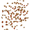 TetraMin Granules