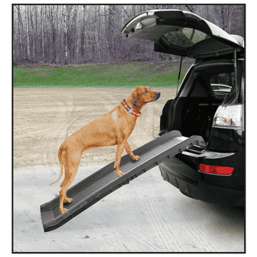 Rampe d’auto pour chiens Go In
