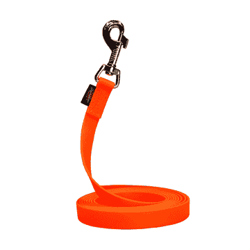 Laisse à pister en biothane, orange vif