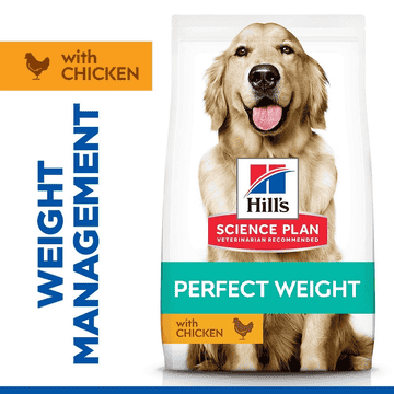 Canine Adult Perfect Weight Large Breed