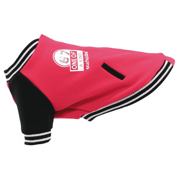TrendLine dog coat box