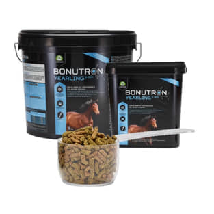 Bonutron Yearling 6-36m