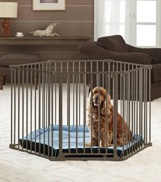 Dog Park De Luxe