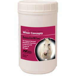 InsulinWise
