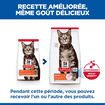 Feline Adult with Lamb