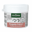 Propolis Pulver