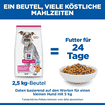 Canine Mature Adult 7+ Light Small & Mini Breed