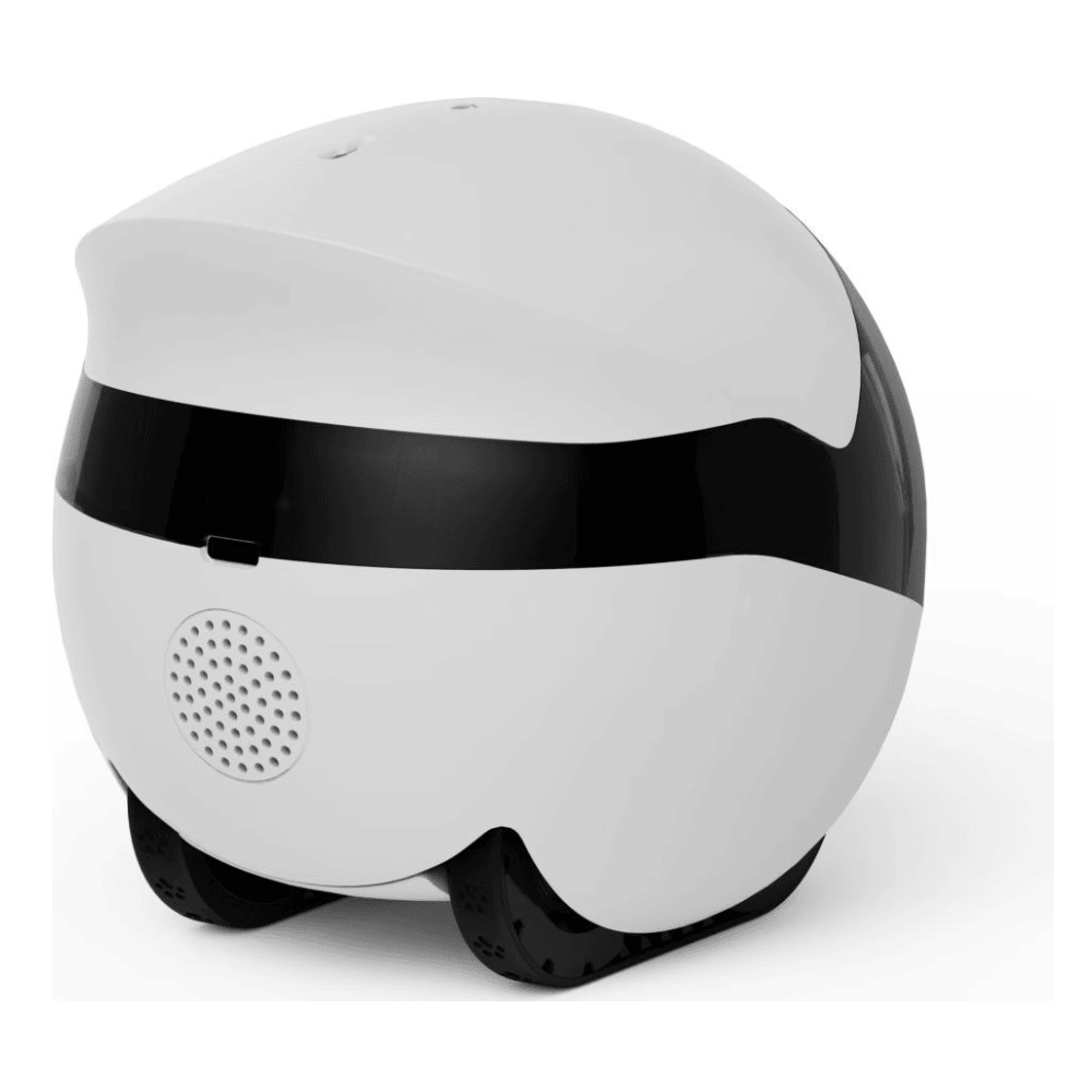 ROLA Mini Companion Robot