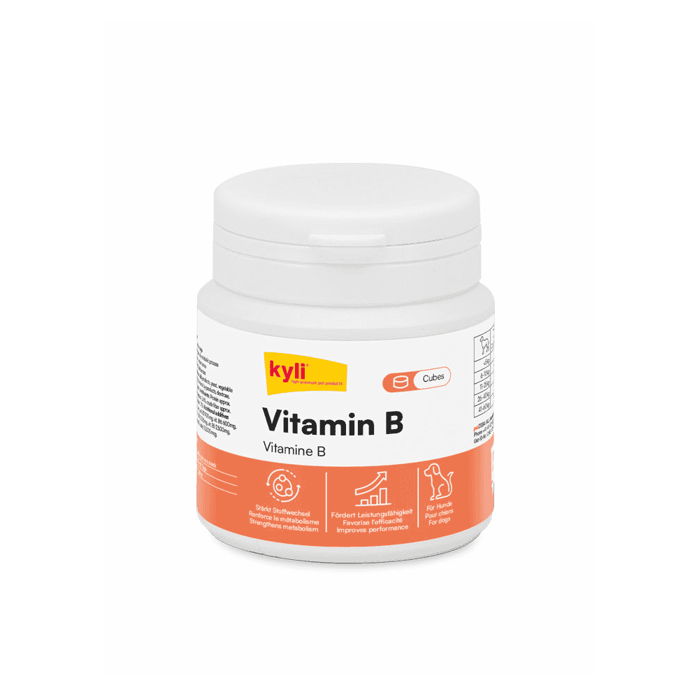 Vitamin B Cubes