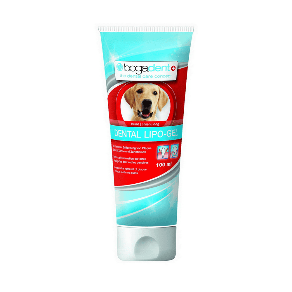 bogadent DENTAL LIPO-GEL chien