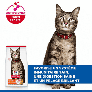 Feline Adult Chicken