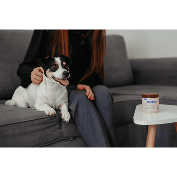 Zenidog Gel Diffuser