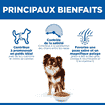 Canine Adult Light Small & Mini Breed