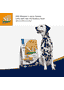 Canine Adult Medium/Maxi Lamm Heidelbeere