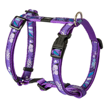 Harnais pour chien Fancy Dress XL