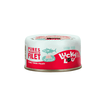 Thunfischfilet in Jelly