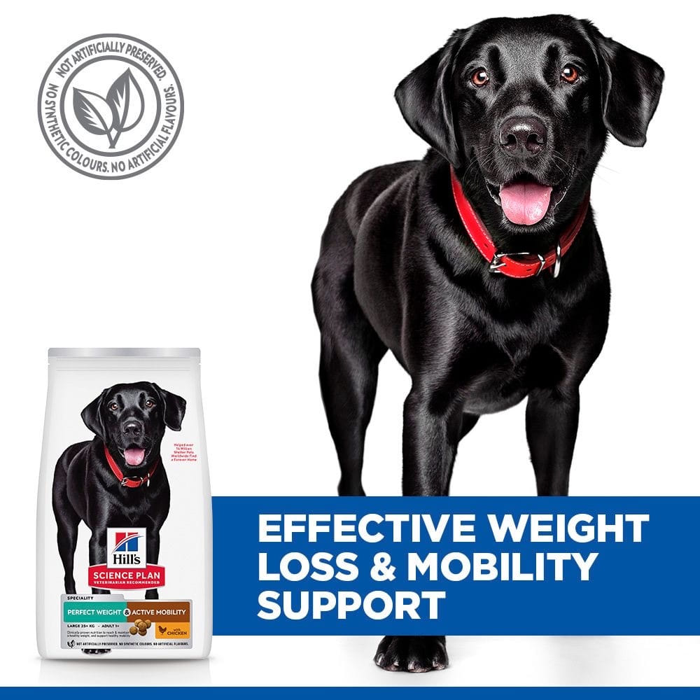 Canine Perfect Weight + Active Mobility Large Breed