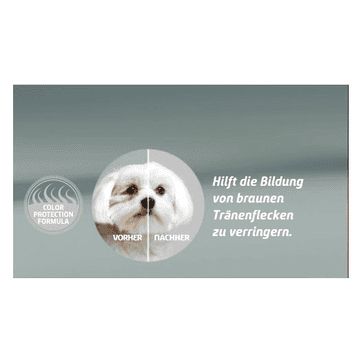 Canine Adult Mini Seebarsch, Fenchel & Spirulina